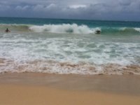 IMG_0139.JPG