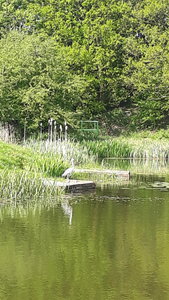 20180507_151054.jpg