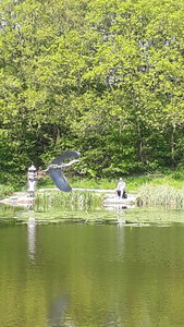 20180507_151056.jpg