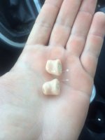 plugs.jpg