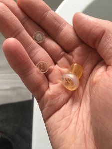 earplug filters.jpg