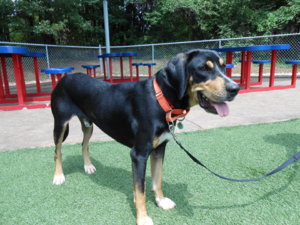 Dudley Photos 006.JPG