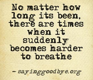 quotes-about-missing-your-love-of-life-with-real-brothers-48-9.jpg