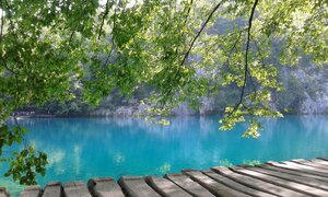 20170810_100721.jpg