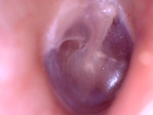 IMG_0114.PNG