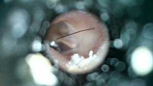 WIN_20200831_07_26_04_Pro.jpg
