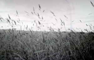 945C2511-39FC-4750-A13D-58D0708A9A65.jpeg