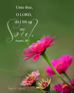 unto-thee-o-lord-do-I-lift-.jpg
