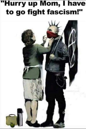Hurry Up Mom I have to go fight Fascism meme.jpg