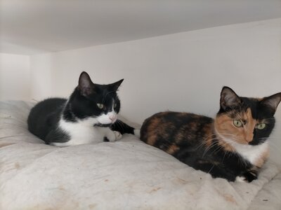 IMG20231017114951.jpg