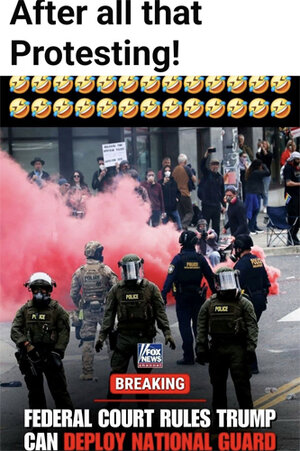 Trump National Guard meme.jpg