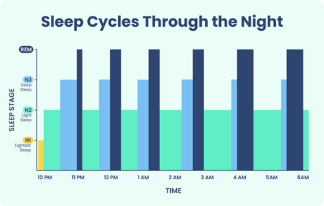 SleepCycles.png