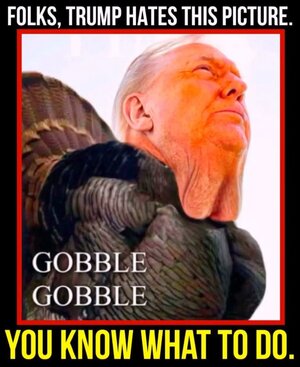 Screenshot_20251130-153307_Samsung Internet.jpg