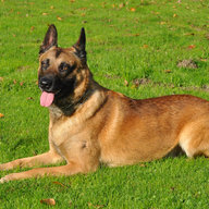 Joeri