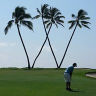 808golfer