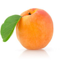 Apricot