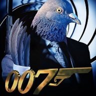 Pigeon