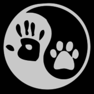MsBD13