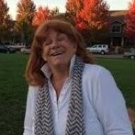 Lynn McDonald