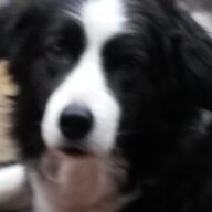 Dave1