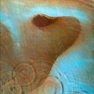 EarQuestions