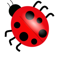 kassuz