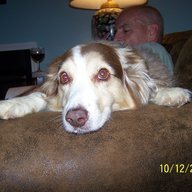 Buster Boy