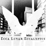 Ecca