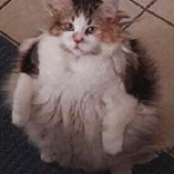 Mr Worried