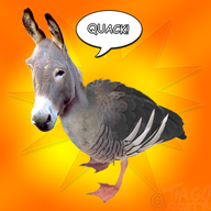 Chrisakky