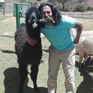 Miguel Gongora