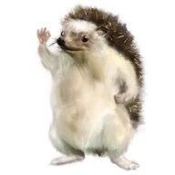 Hedgehog