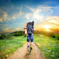 traveler