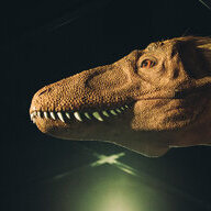 T-Rex