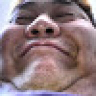 F Bastardo