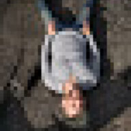TommyZed