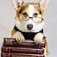 Rjbookworm