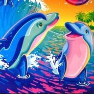 dolphinskin
