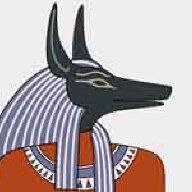 Shawk