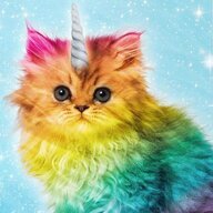 RainbowCat