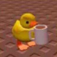 duck0