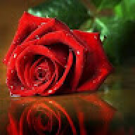 Lily7174