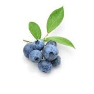 Blueberry
