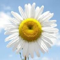 daisyjc