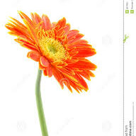 JOrange