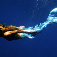 mermaid