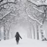 snow47
