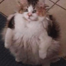 Mr Worried