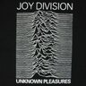 unknownpleasures