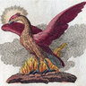 PhoenixAcademy